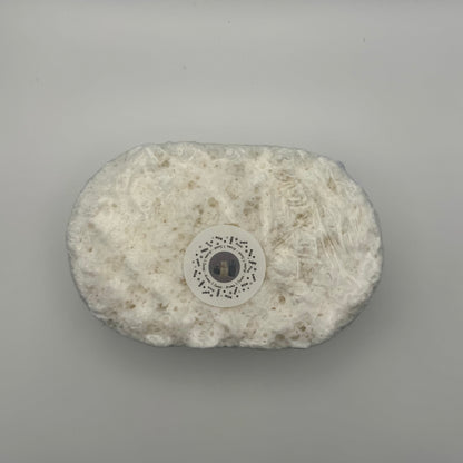 Soap Sponge