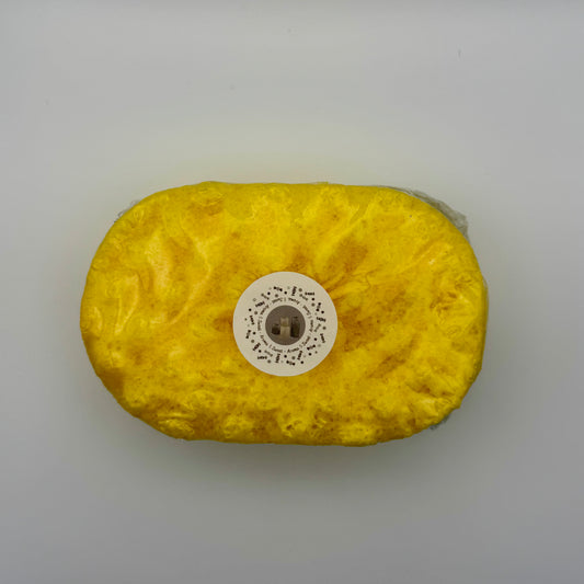 Soap Sponge