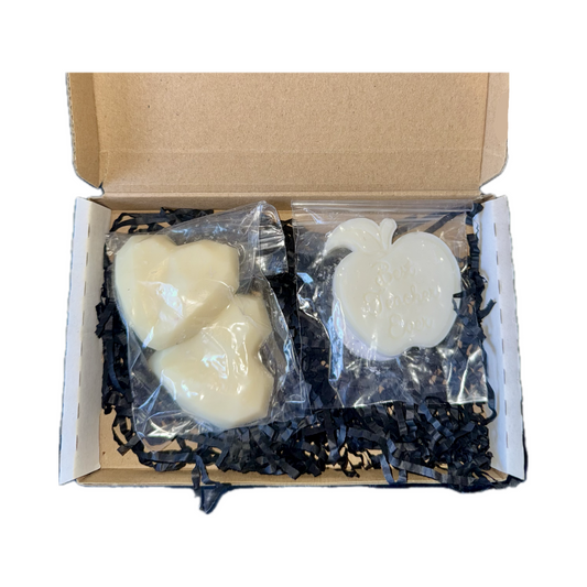 Teacher wax melt box (small)