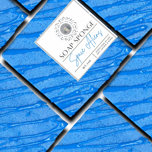 Space Aliens Small Soap Sponge